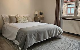 Die Scone Guestroom - Private House Experience In Central Bruges